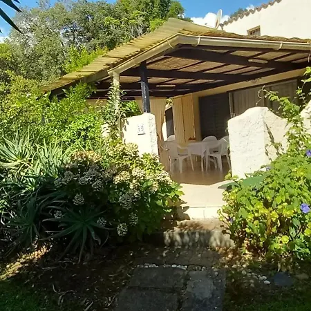 Maison Laujo En Bord De Hébergement de vacances Santa-Maria-Poggio (Corsica)