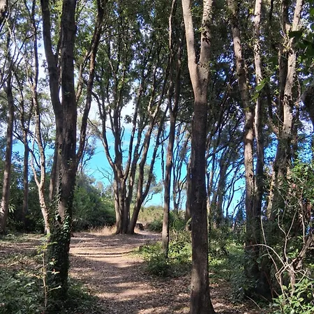 Hébergement de vacances Maison Laujo En Bord De